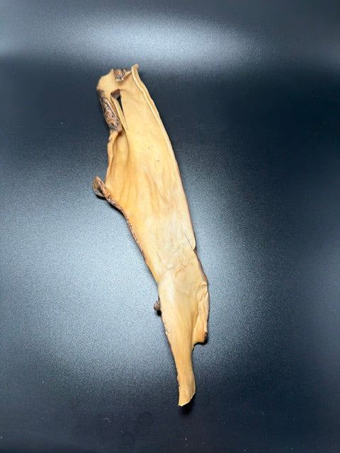 Willy Wags Camel Skin