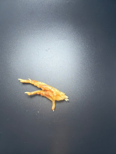 Canine Butcher Shop Chicken Foot/ Feet Single
