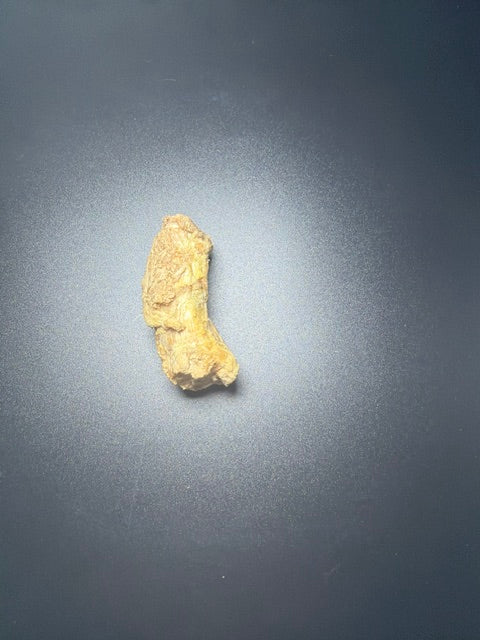 Momentum Single Chicken Neck
