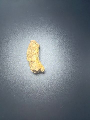 Momentum Single Chicken Neck