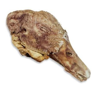 Momentum Single Duck Head