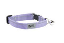 RC Pets Kitty Breakaway Collar-3