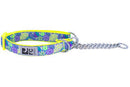 RC Pets Martingale Collars-7