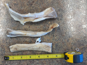 Sadie's Chews Bison Super Chew 6in - 0