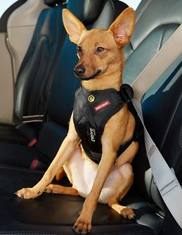 Ezydog Drive Harness