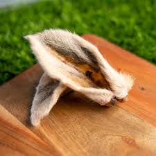 Anderson's Hairy Lamb Ear Single