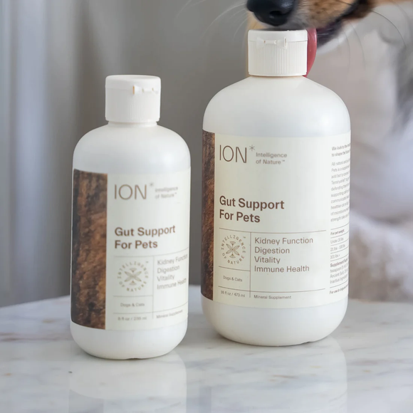 ION* Gut Support