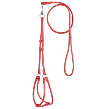 Dogline Step-In Harness/Leash Combo Leather