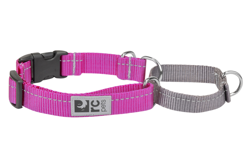 RC Pets Martingale Collars Web