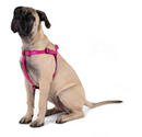 Goldpaw Harness Swift Lock-7