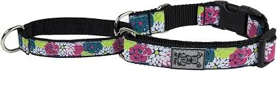 RC Pets Martingale Collars Web