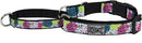 RC Pets Martingale Collars Web-7