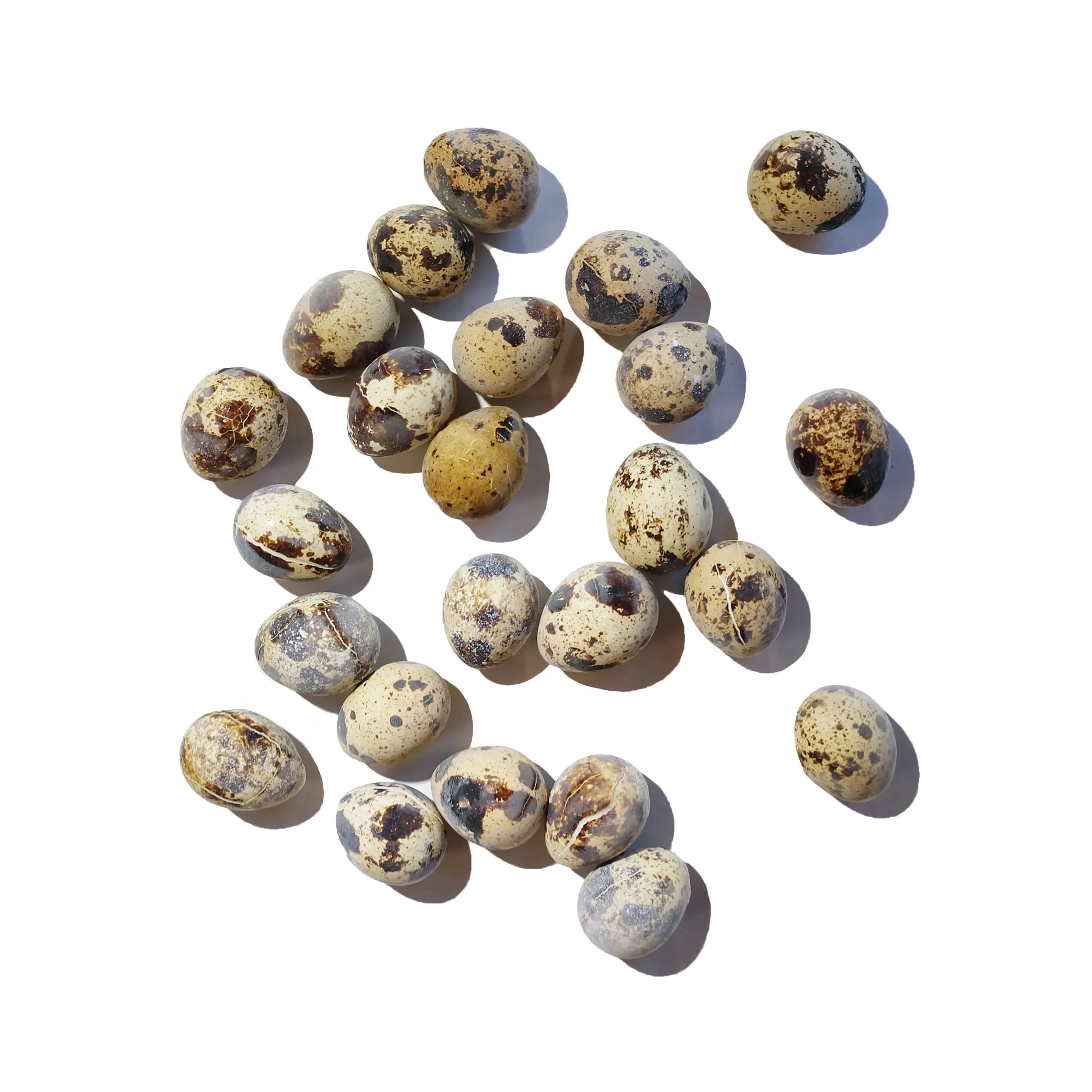 Savage Cat Frozen Quail Eggs 24ct - 0