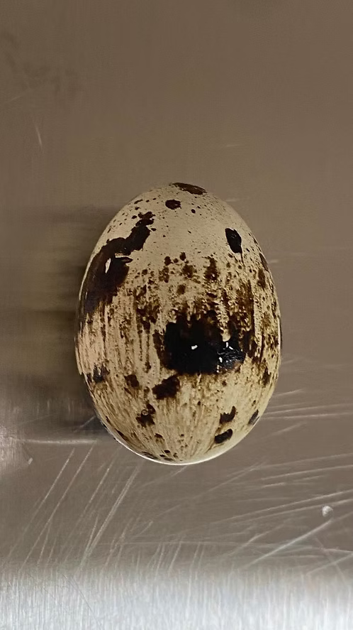 Rawsome AllerEase - Quail Egg White Powder