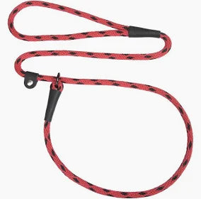 Mendota Slip Lead