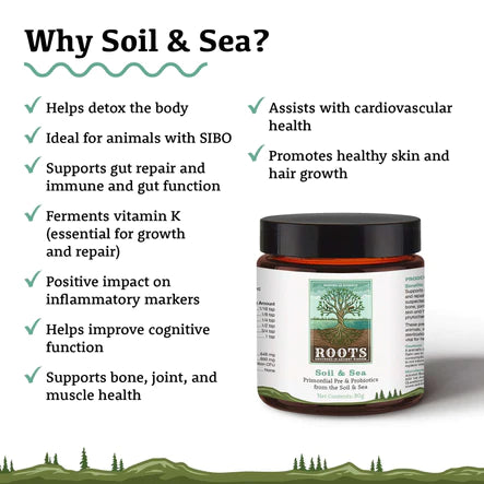 Adored Beast Soil and Sea 1.6oz