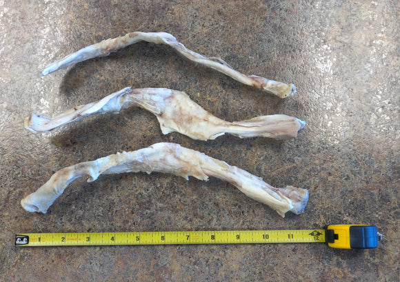 Sadie's Chew Bison Super Chew 12in