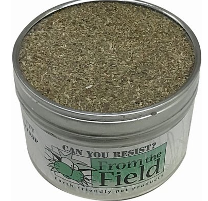 From the Field Catnip