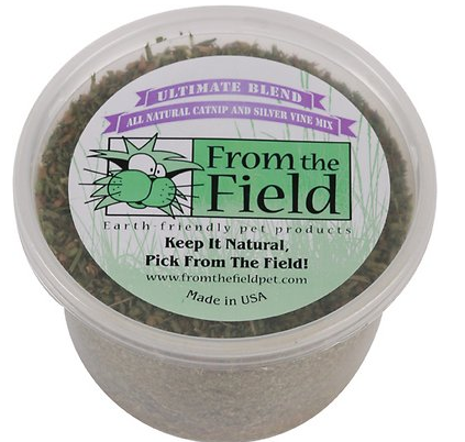 From the Field Catnip