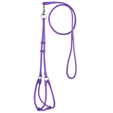 Dogline Step-In Harness/Leash Combo Leather - 0