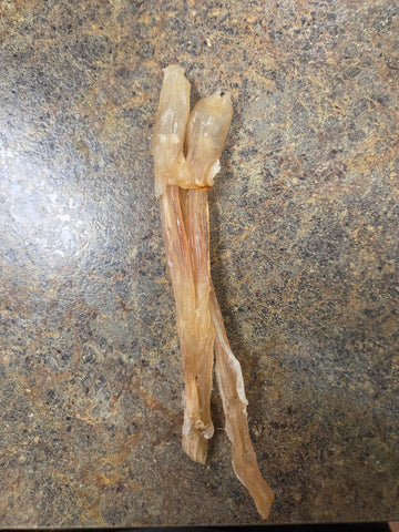 Willy's Wags Beef Tendon Regular