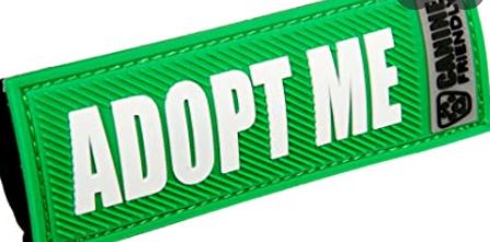 Bark Notes Leash Message Sleeve Adopt Me 3/4''