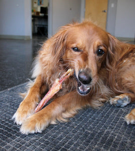 The Natural Dog Company Real Meat Chews