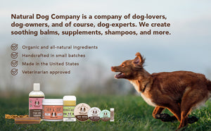 Natural Dog Company Salves
