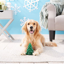 Load image into Gallery viewer, Planet Dog Holiday Collection