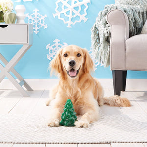 Planet Dog Holiday Collection