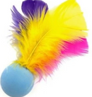 Go Cat Wands & Refills-15