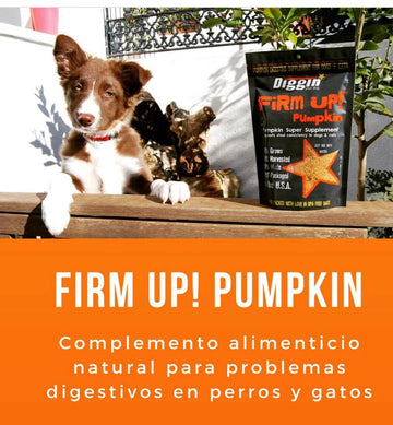 Diggin Your Dog Firm Up Pumpkin