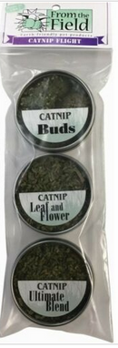 From the Field Catnip-2