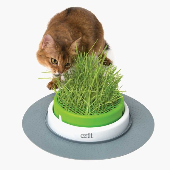 Catit Senses Planter