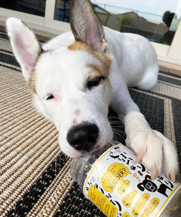 Buddy Budder Peanut Butter 17oz - 0