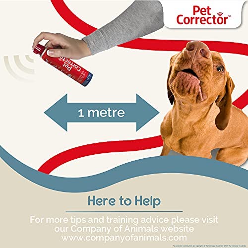 Pet Corrector