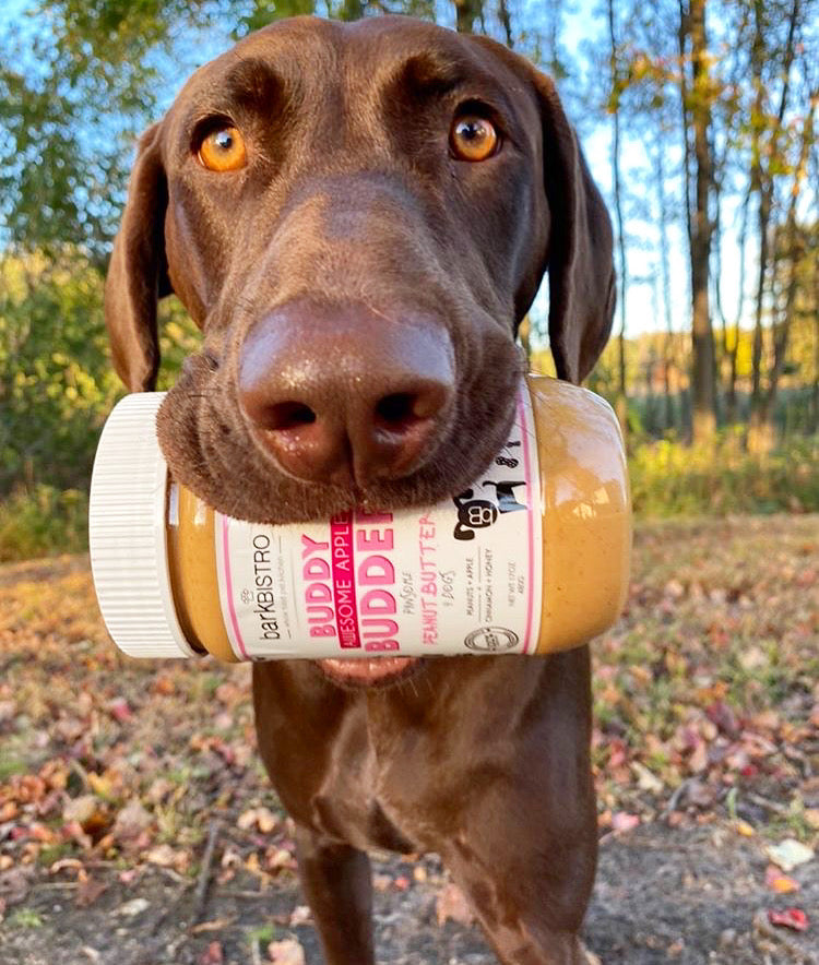 Buddy Budder Peanut Butter 17oz