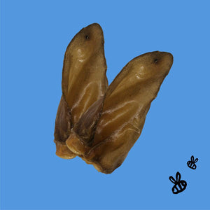 Honey I'm Home Honey-Coated Chews