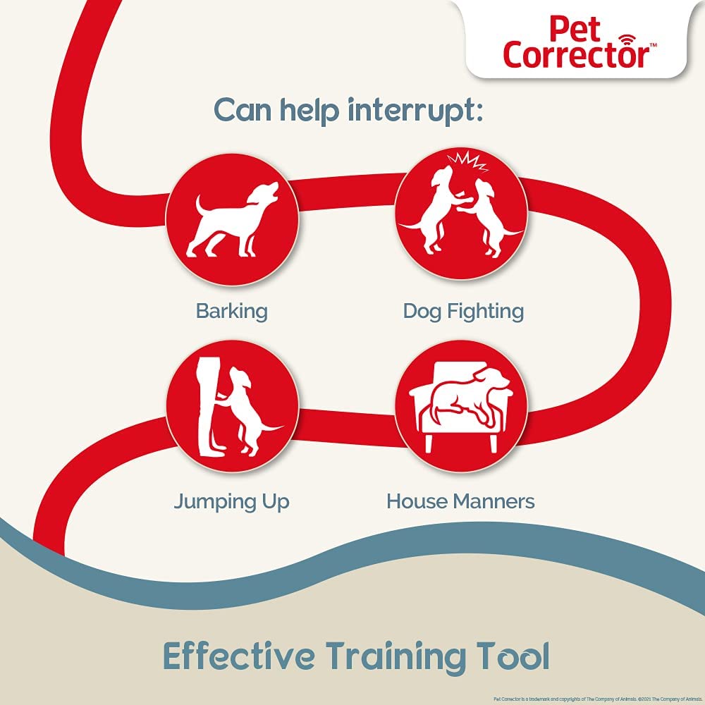 Pet Corrector