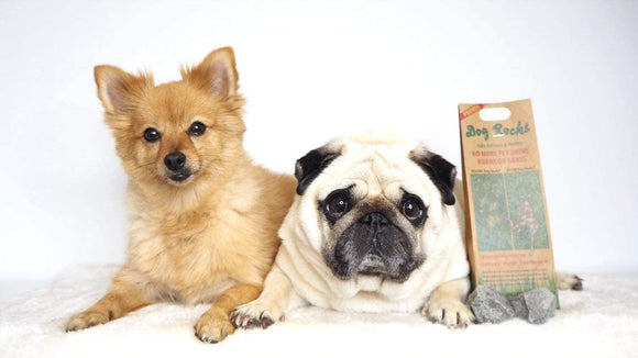 Dog Rocks Lawn Savers