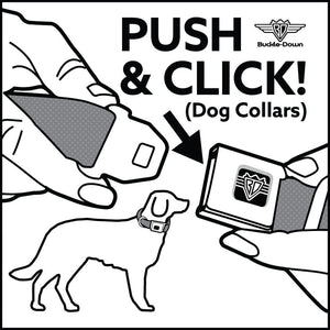 Buckle Down Superheroes and Comics Dog Collars