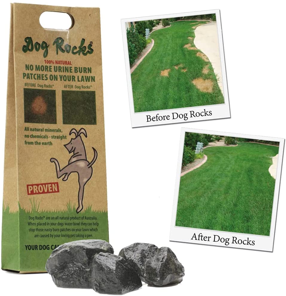Dog Rocks Lawn Savers