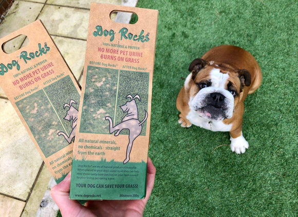 Dog Rocks Lawn Savers