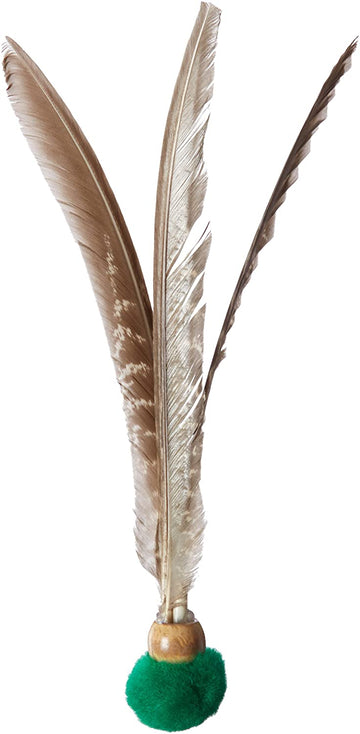 Feathers