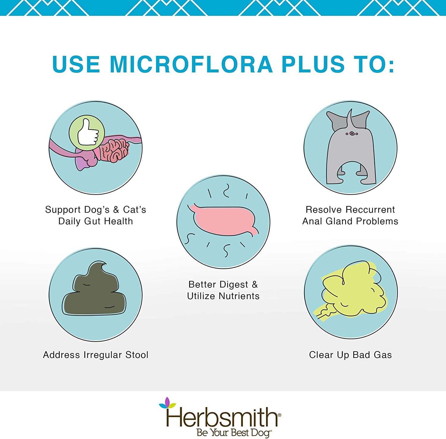 Microflora plus hot sale for dogs