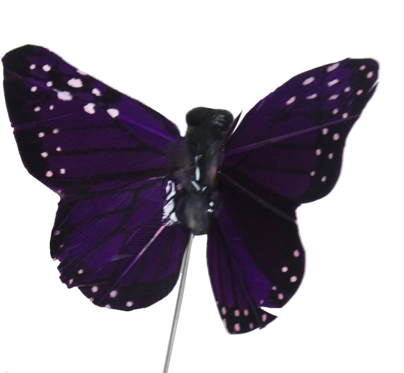 Go Cat Wands & Refills