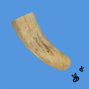 Honey I'm Home Honey-Coated Chews
