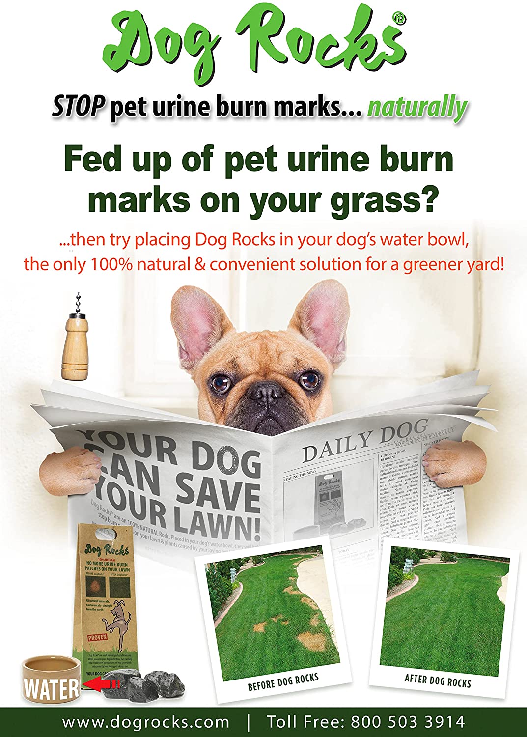 Dog Rocks Lawn Savers