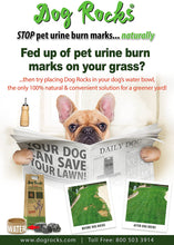 Load image into Gallery viewer, Dog Rocks Lawn Savers
