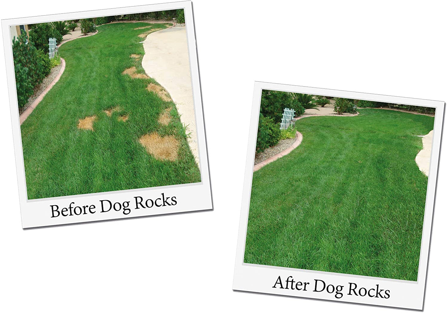 Dog Rocks Lawn Savers